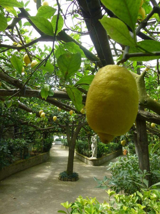 马萨鲁布朗斯Il Viale公寓 外观 照片